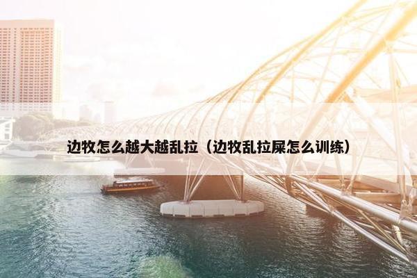 边牧怎么越大越乱拉（边牧乱拉屎怎么训练）