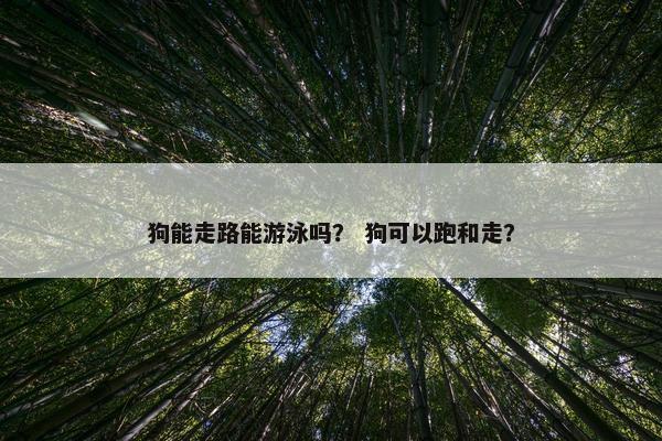 狗能走路能游泳吗？ 狗可以跑和走？