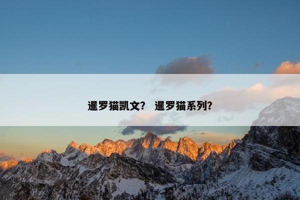 暹罗猫凯文？ 暹罗猫系列？