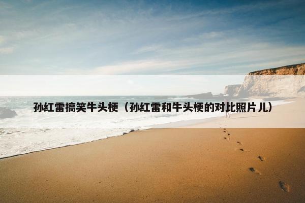 孙红雷搞笑牛头梗（孙红雷和牛头梗的对比照片儿）