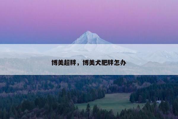 博美超胖，博美犬肥胖怎办