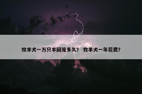 牧羊犬一万只羊回笼多久？ 牧羊犬一年花费？