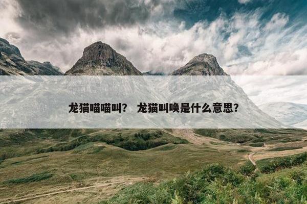 龙猫喵喵叫？ 龙猫叫唤是什么意思？