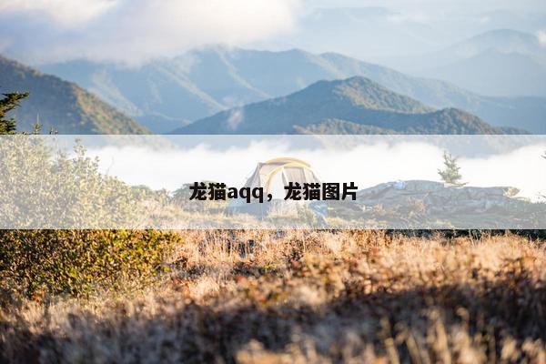 龙猫aqq，龙猫图片