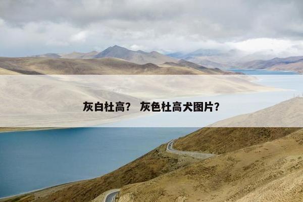 灰白杜高？ 灰色杜高犬图片？