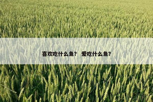 喜欢吃什么鱼？ 爱吃什么鱼？