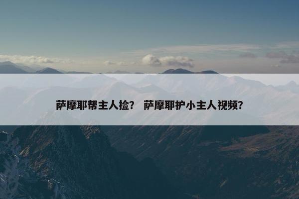 萨摩耶帮主人捡？ 萨摩耶护小主人视频？