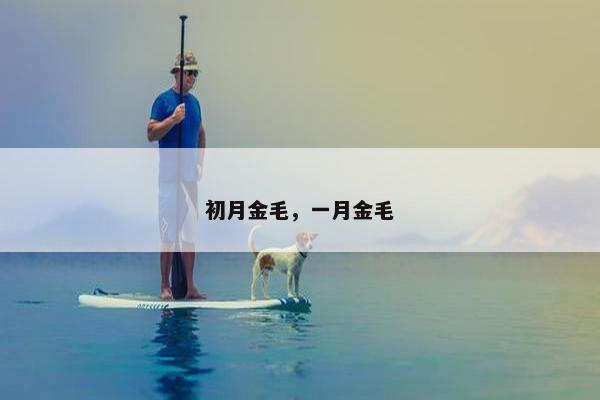 初月金毛，一月金毛