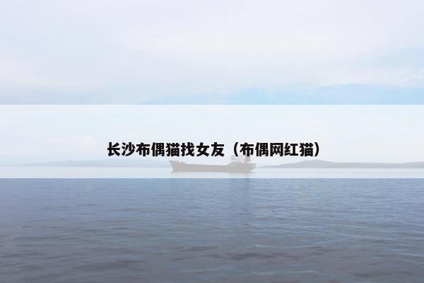 长沙布偶猫找女友（布偶网红猫）