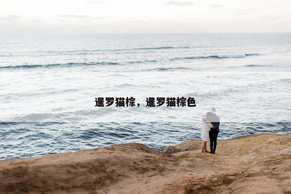 暹罗猫棕，暹罗猫棕色