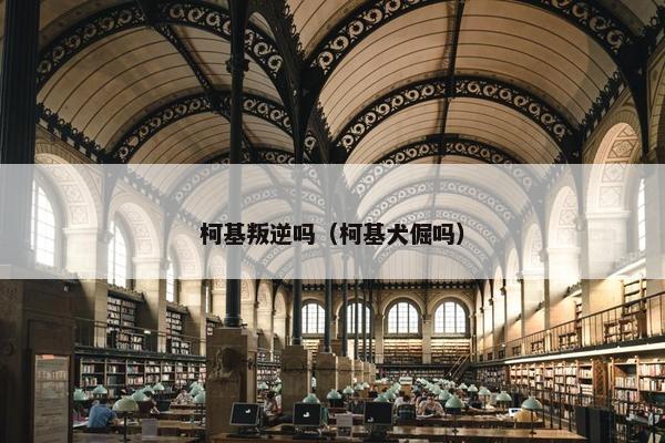 柯基叛逆吗（柯基犬倔吗）