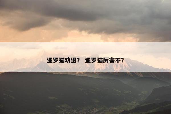 暹罗猫劝退？ 暹罗猫厉害不？