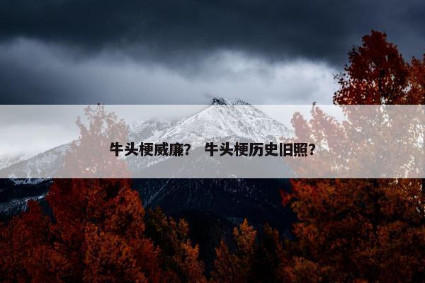 牛头梗威廉？ 牛头梗历史旧照？