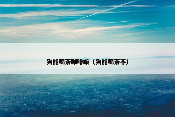 狗能喝茶咖啡嘛（狗能喝茶不）