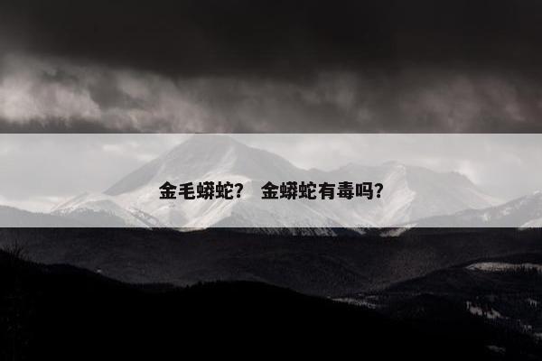 金毛蟒蛇？ 金蟒蛇有毒吗？