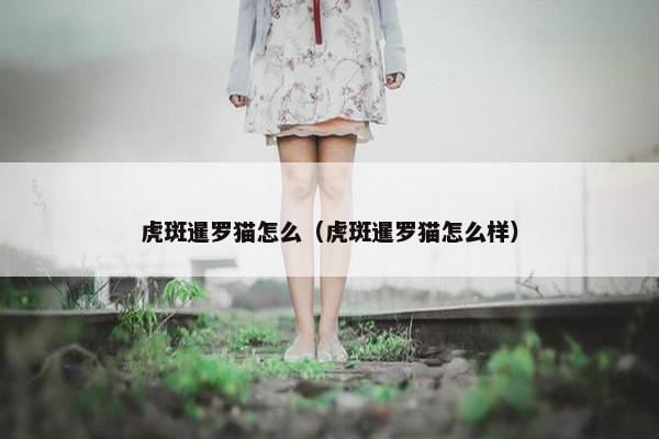 虎斑暹罗猫怎么（虎斑暹罗猫怎么样）