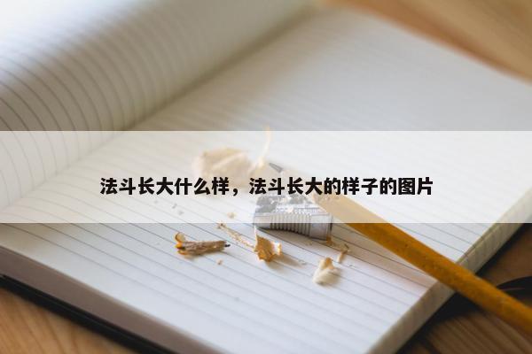 法斗长大什么样，法斗长大的样子的图片