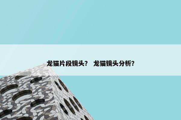 龙猫片段镜头？ 龙猫镜头分析？