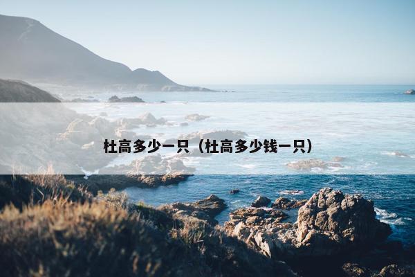 杜高多少一只（杜高多少钱一只）