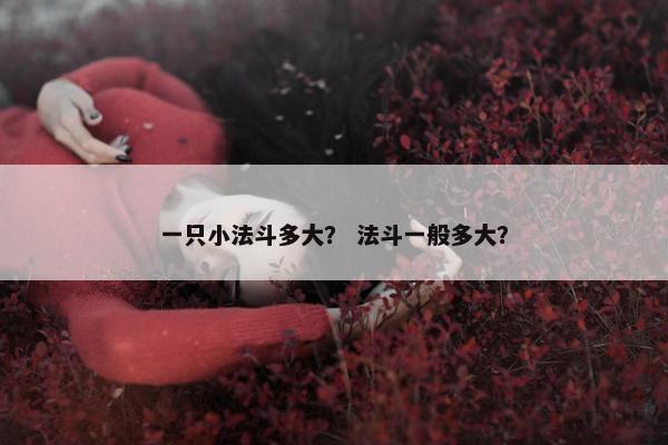 一只小法斗多大？ 法斗一般多大？