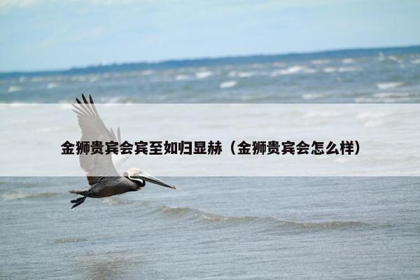金狮贵宾会宾至如归显赫（金狮贵宾会怎么样）