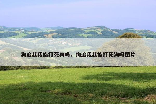 狗追我我能打死狗吗，狗追我我能打死狗吗图片