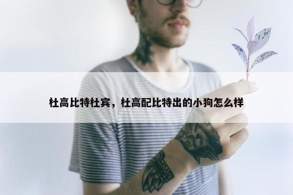 杜高比特杜宾，杜高配比特出的小狗怎么样