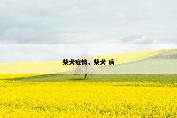 柴犬疫情，柴犬 病