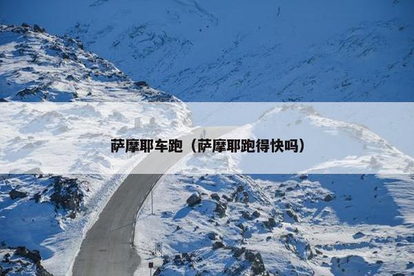 萨摩耶车跑（萨摩耶跑得快吗）