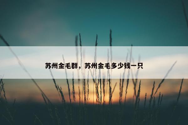 苏州金毛群，苏州金毛多少钱一只