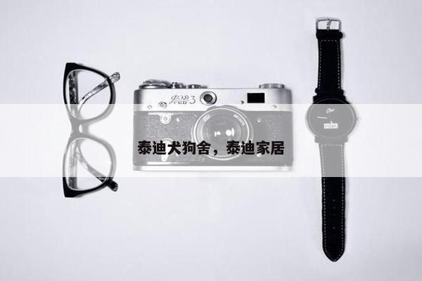 泰迪犬狗舍，泰迪家居