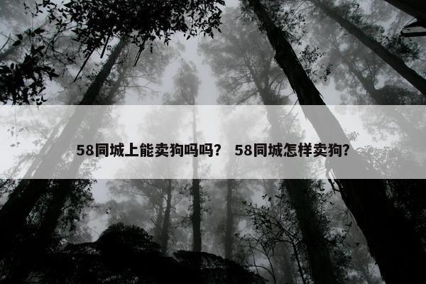 58同城上能卖狗吗吗？ 58同城怎样卖狗？
