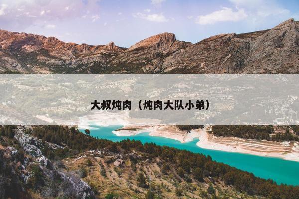 大叔炖肉（炖肉大队小弟）