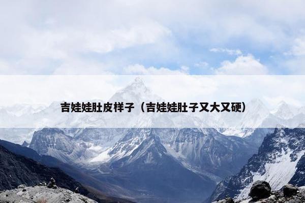 吉娃娃肚皮样子（吉娃娃肚子又大又硬）