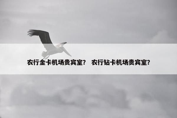 农行金卡机场贵宾室？ 农行钻卡机场贵宾室？