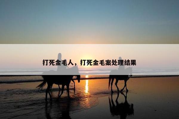打死金毛人，打死金毛案处理结果