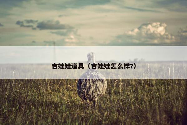 吉娃娃道具（吉娃娃怎么样?）