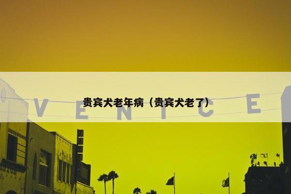 贵宾犬老年病（贵宾犬老了）