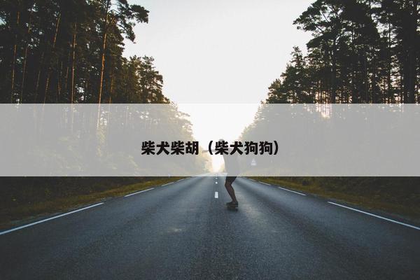 柴犬柴胡（柴犬狗狗）