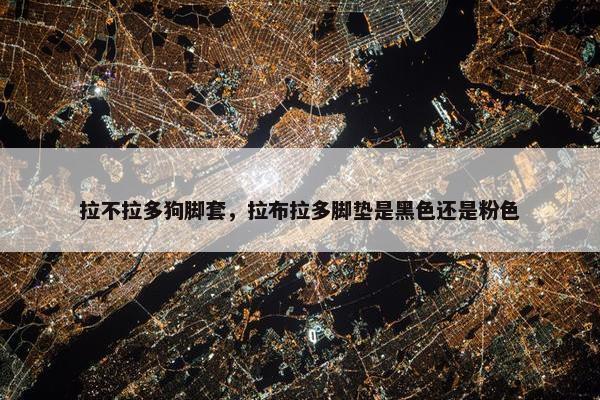 拉不拉多狗脚套，拉布拉多脚垫是黑色还是粉色