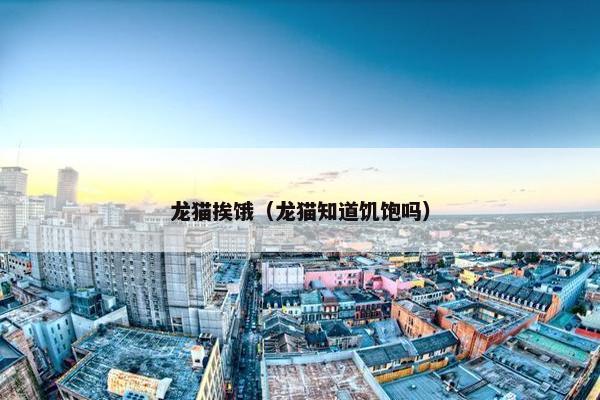 龙猫挨饿（龙猫知道饥饱吗）