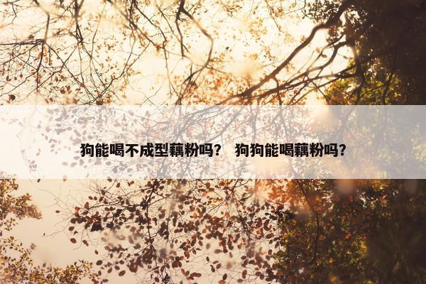 狗能喝不成型藕粉吗？ 狗狗能喝藕粉吗？