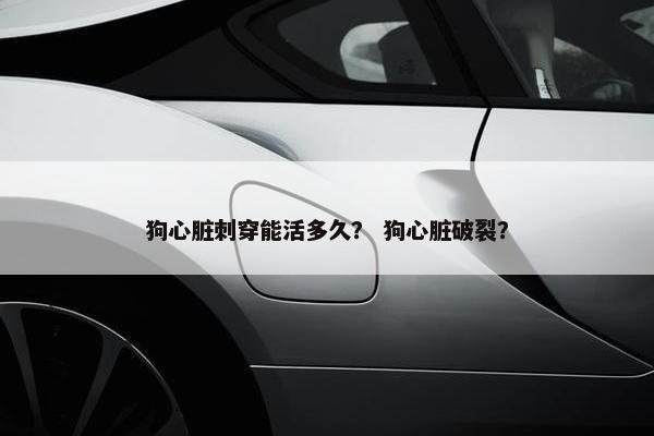 狗心脏刺穿能活多久？ 狗心脏破裂？
