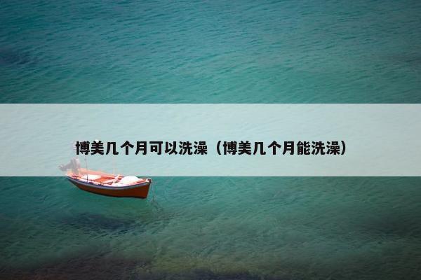 博美几个月可以洗澡（博美几个月能洗澡）