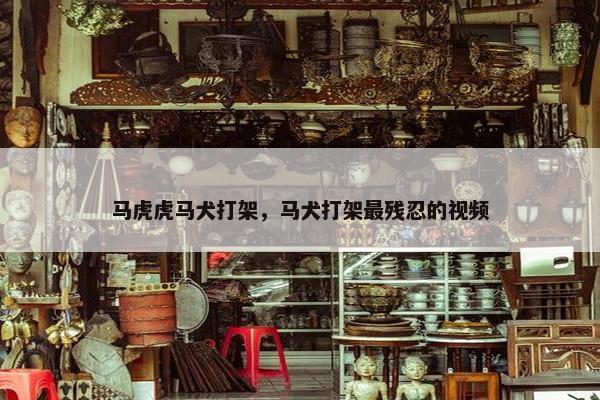 马虎虎马犬打架，马犬打架最残忍的视频