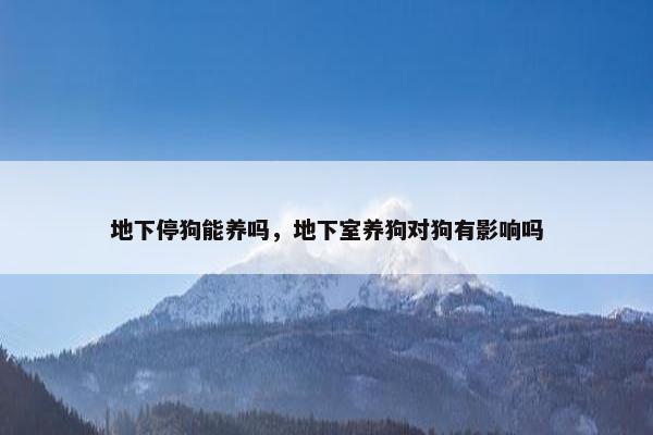 地下停狗能养吗，地下室养狗对狗有影响吗