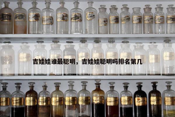 吉娃娃谁最聪明，吉娃娃聪明吗排名第几