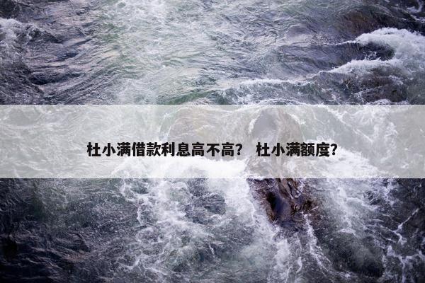 杜小满借款利息高不高？ 杜小满额度？