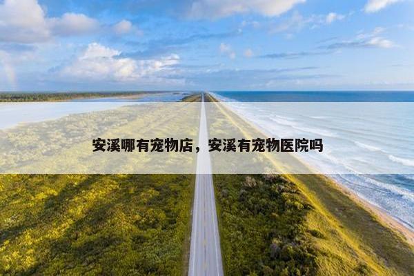 安溪哪有宠物店，安溪有宠物医院吗