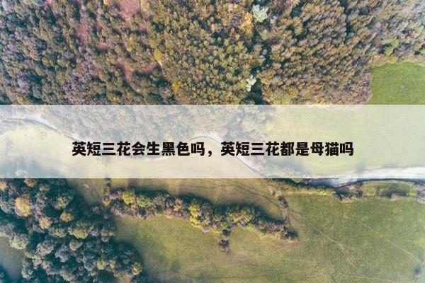 英短三花会生黑色吗，英短三花都是母猫吗
